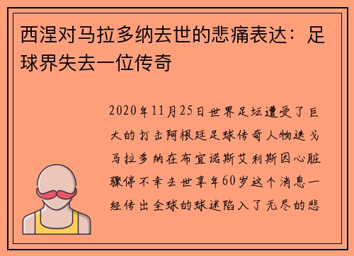 西涅对马拉多纳去世的悲痛表达：足球界失去一位传奇